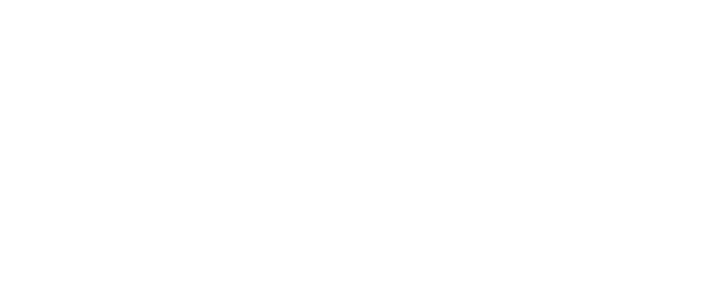 SPD Logo weiß