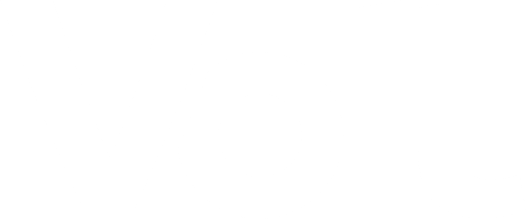 Volt Logo weiß
